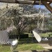 Soldes en ligne Hamac Coton Balançoire Chaise Suspendue Corde En Bois Beige Tassel Patio Maison Intérieur Camping En Plein Air - 3