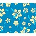Soldes en ligne Hawaii Pacific - Hamac à barres double rembourré - Bleu / turquoise - 1